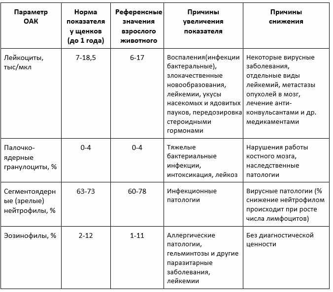ОАК у собак