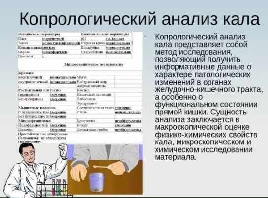 копрограмма и ее значение