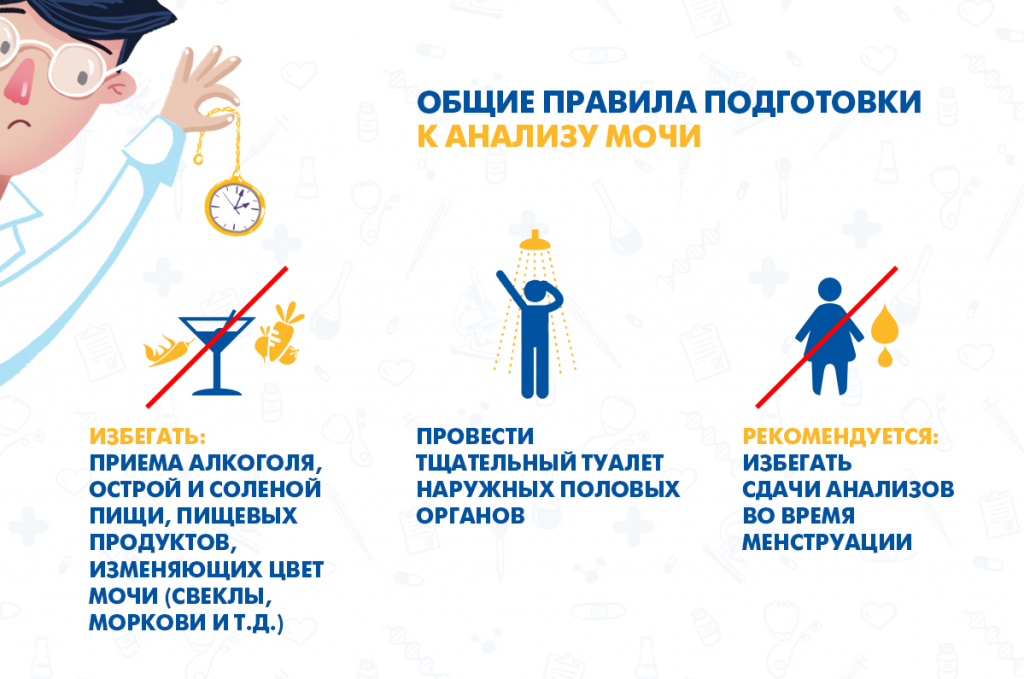 подготовка к анализу мочи