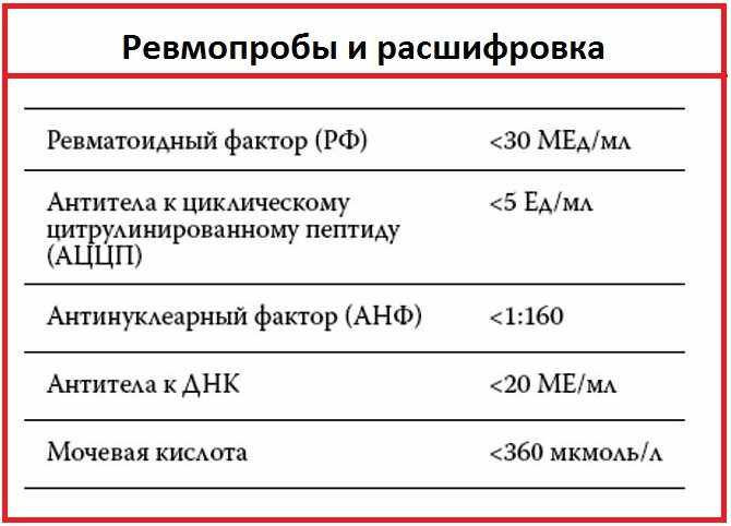 ревмофактор анализ крови и его значение