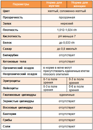 стандартные нормы для анализа мочи