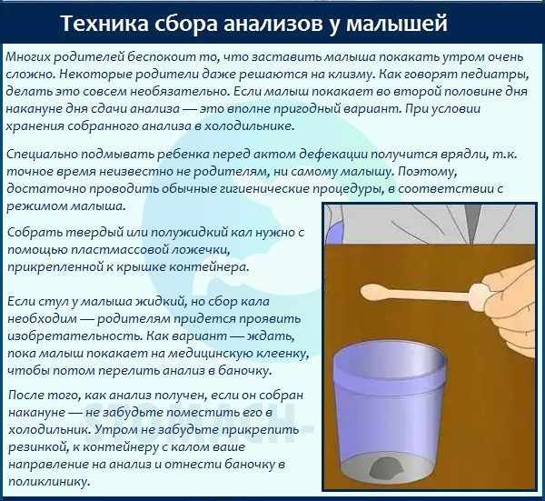 правила сбора кала для анализа