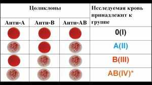резус фактор и его значение