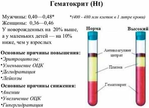 hct в анализе крови как определяется норма
