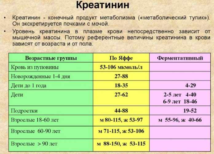 расшифровка анализа на креатинин 