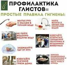 способы профилактики глистов