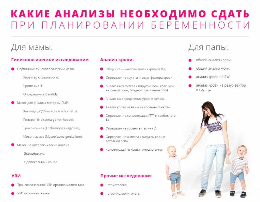 список анализов перед зачатием
