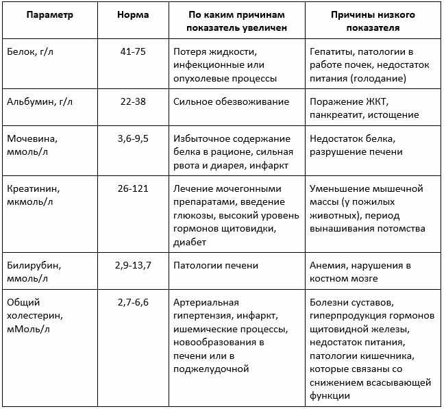 биохимический анализ крови у собак