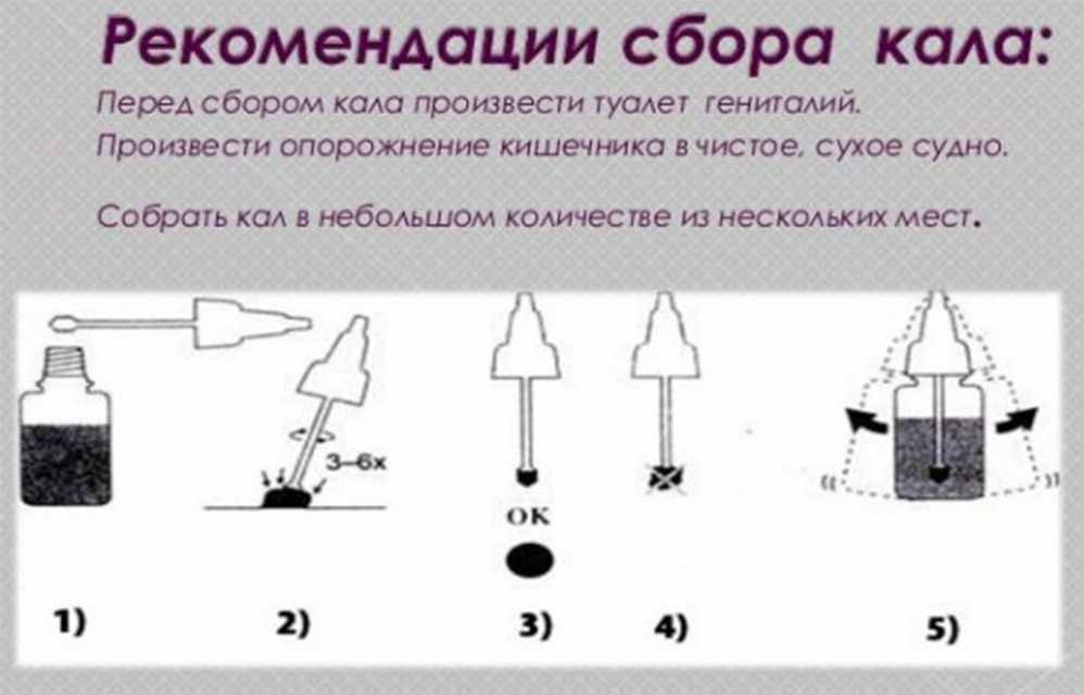 рекомендации по сбору кала
