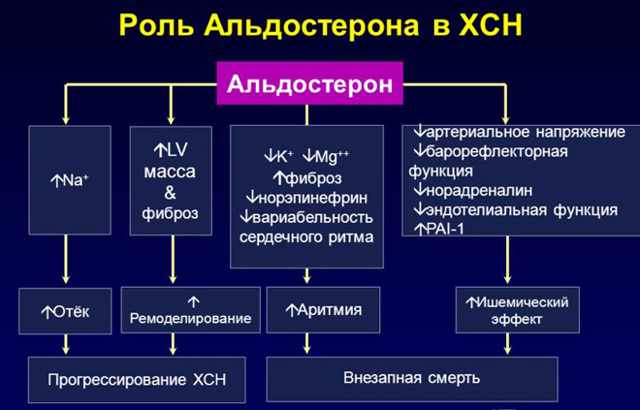 гормон надпочечников и его значение 
