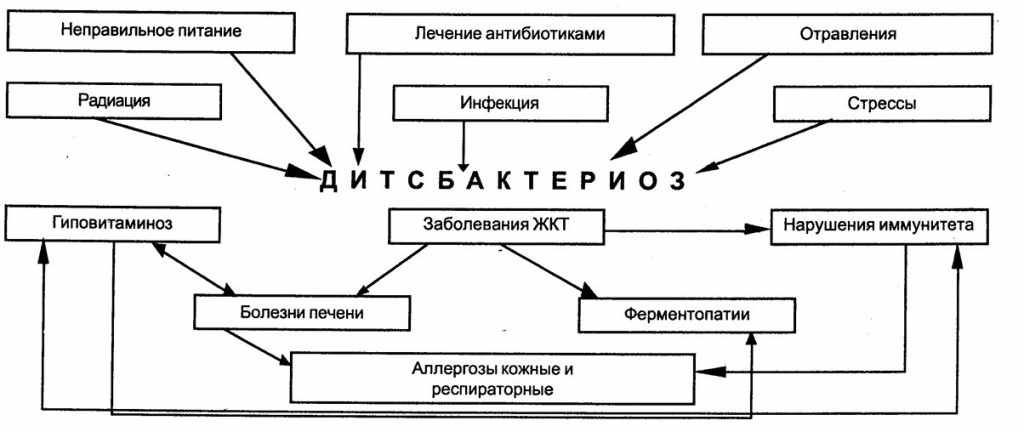 дисбактериоз и его последствия
