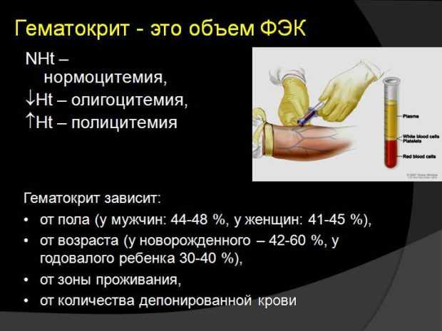 общие сведения о гематокрита