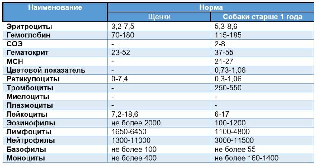 показатели общего анализа крови у собаки