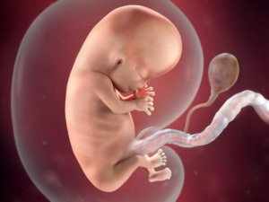 Низкий уровень ХГЧ может указывать на внематочную или неразвивающуюся беременность