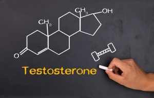 Тестостерон – мужской половой гормон, который важен для репродуктивного развития
