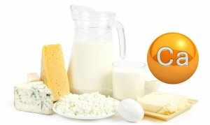 Молочные продукты – основной источник кальция