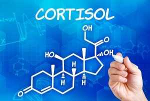 Кортизол – это биологически активный глюкокортикоидный гормон стероидной группы