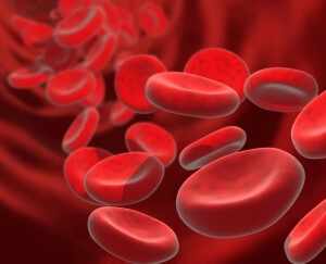 Характеристика свертывания крови в организме человека 