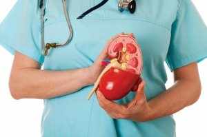 Любое отклонение от нормы может указывать на патологию почек!