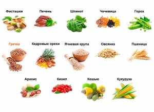 Повышаем уровень гемоглобина железосодержащими продуктами 