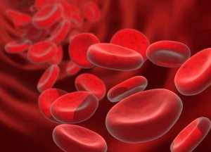 Эритроциты – это самые многочисленные клетки крови 