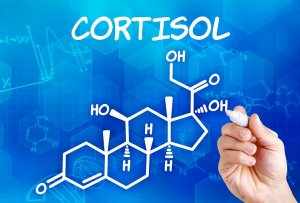 Кортизол – это гормон стресса