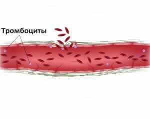 Показатели свертываемости крови и их норма по возрасту