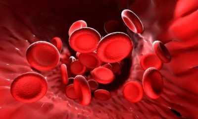 Повышенный гемоглобин в крови