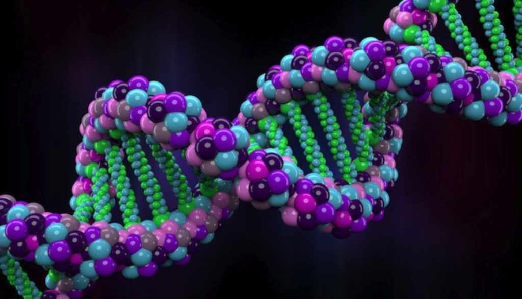 Биомолекула ДНК