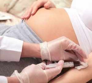 Взятие анализа крови из вены у беременной женщины