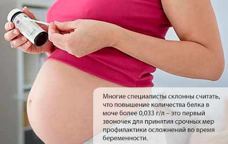 Повышение белка в моче при беременности