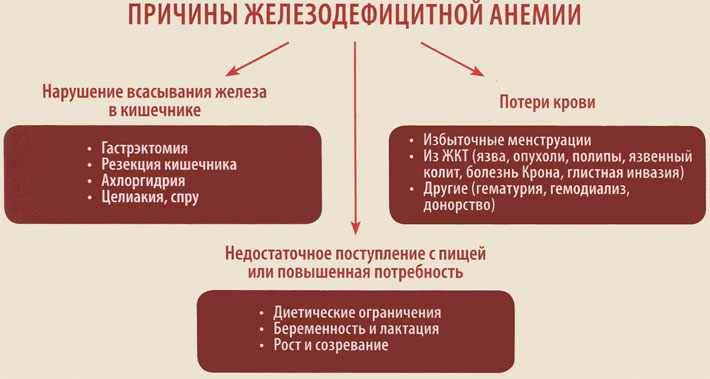 Причины появления железодефицитной анемии