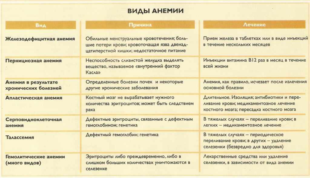 Виды анемии