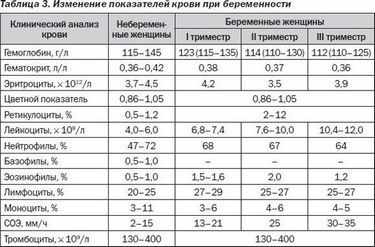 Показатели крови при беременности по триместрам: норма нейтрофилов