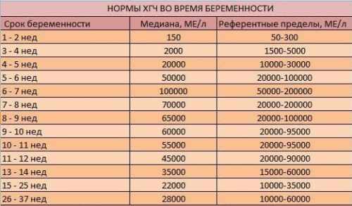 Нормы ХГЧ во время беременности