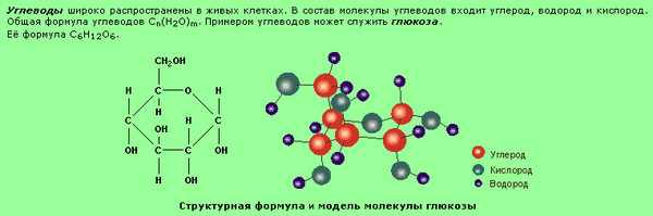 Химическая формула глюкозы