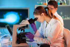 Лаборанты исследуют анализ под микроскопом
