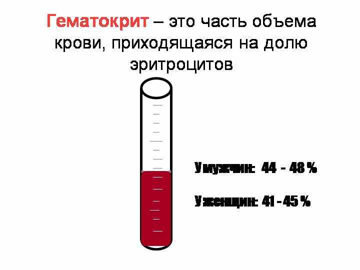 Гематокрит ниже нормы у женщины. Гематокрит это соотношение объемов эритроцитов и. Гематокрит крови 0.4. Гематокрит это отношение объема эритроцитов к объему. Нормальные показатели гематокрита.