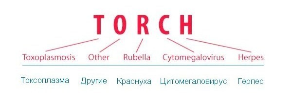 Расшифровка аббревиатуры TORCH