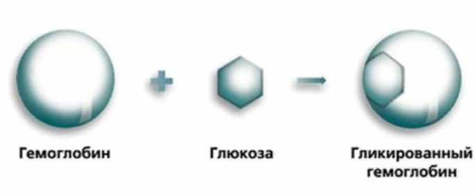 Гликированный гемоглобин