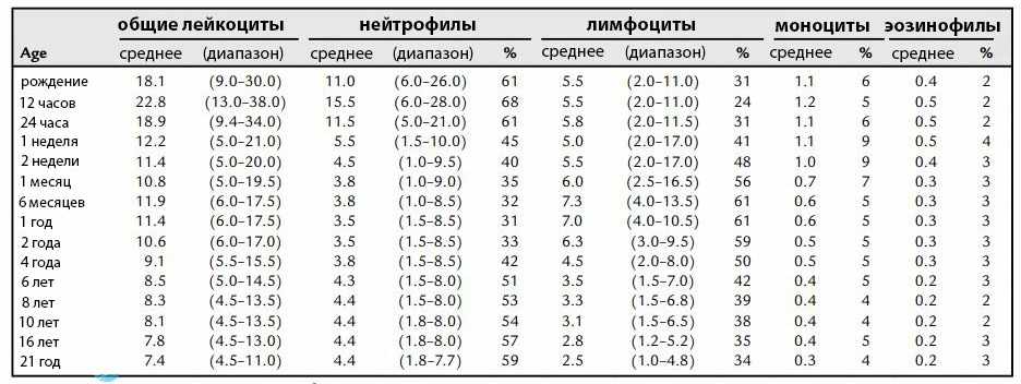Таблица гранулоцитов