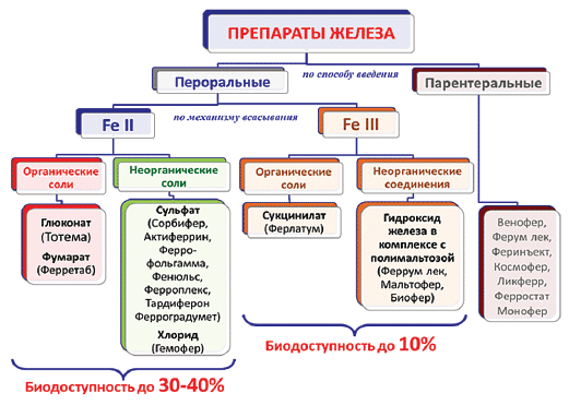 железосодержащих препаратов