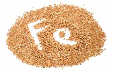 Fe