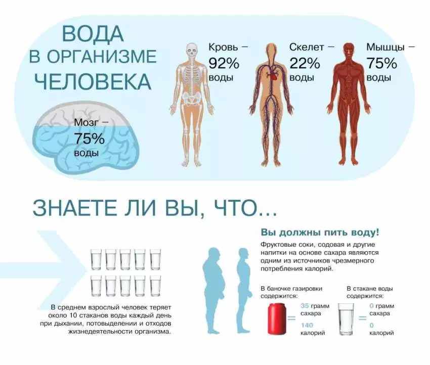 Баланс воды в организме