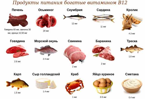 Продукты питания богатые витамином В12
