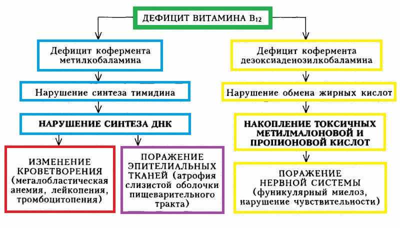 Диагностика анемии
